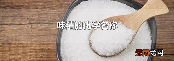 味精的化学名称