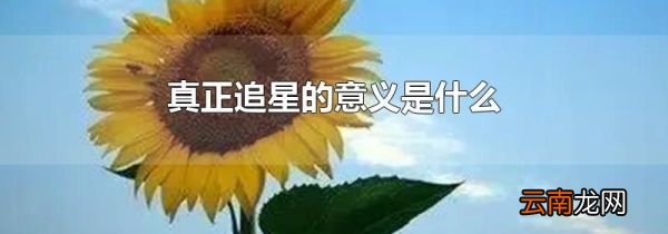 真正追星的意义是什么