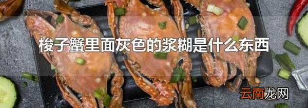 梭子蟹里面灰色的浆糊是什么东西