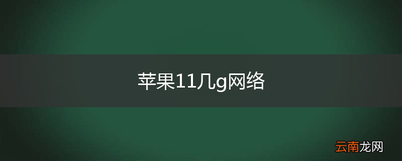 苹果11几g网络