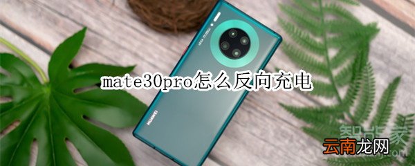 mate30pro怎么反向充电