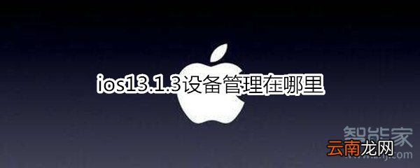 ios13.1.3设备管理在哪里