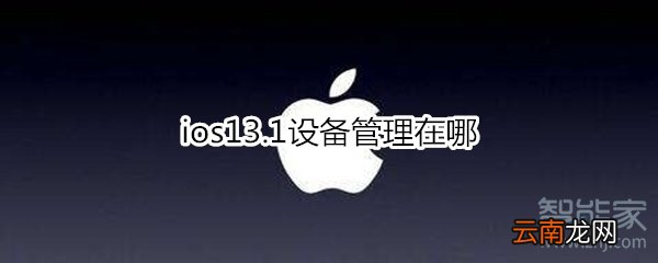 ios13.1设备管理在哪