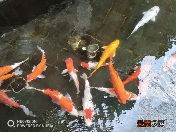 努比亚z17s上手体验 努比亚z17s手机评测