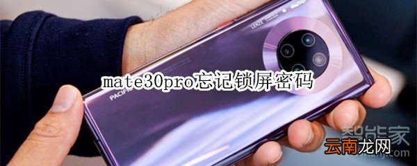 mate30pro忘记锁屏密码