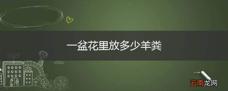 一盆花里放多少羊粪