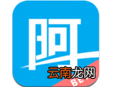 阿字报账软件详情介绍