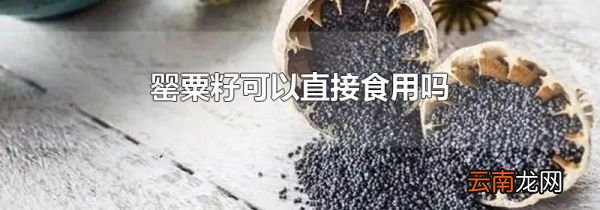 罂粟籽可以直接食用吗