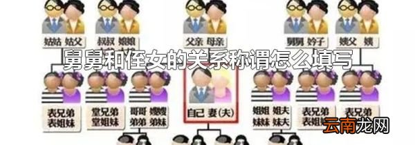 舅舅和侄女的关系称谓怎么填写