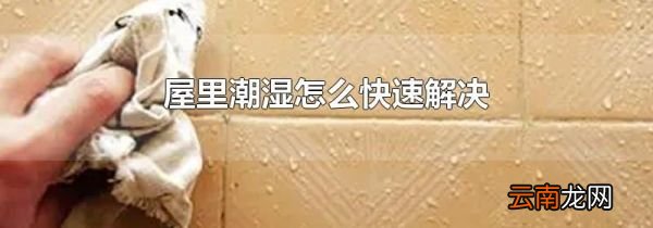 屋里潮湿怎么快速解决