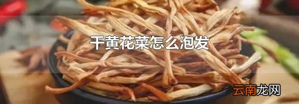 干黄花菜怎么泡发