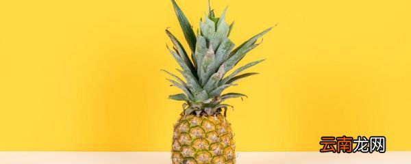 水果有哪些 水果有哪些品种