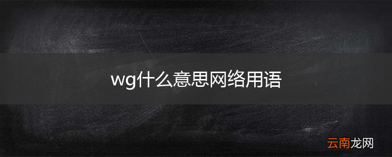 wg什么意思网络用语