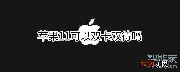 苹果11可以双卡双待吗