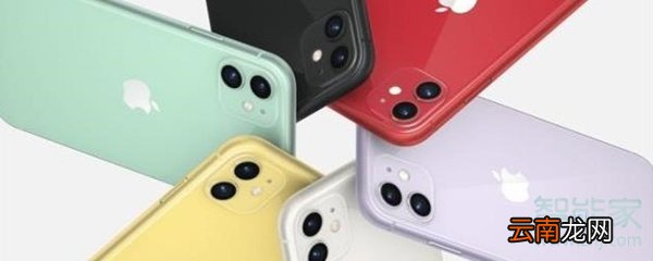 苹果11可以双卡双待吗