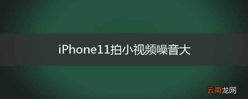 iPhone11拍小视频噪音大