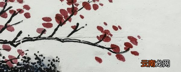 劝君莫惜金缕衣的下一句 劝君莫惜金缕衣的意思