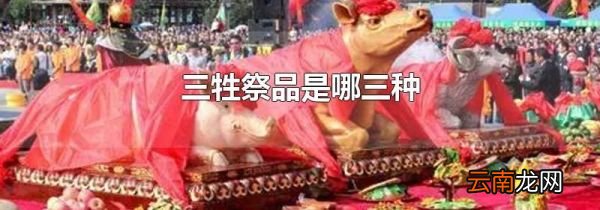 三牲祭品是哪三种