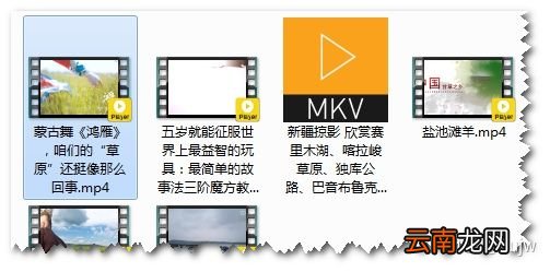 b站的视频怎么下载到电脑上