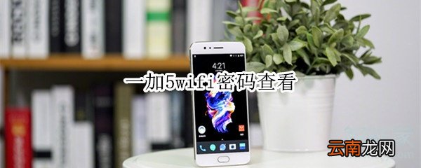 一加5wifi密码查看