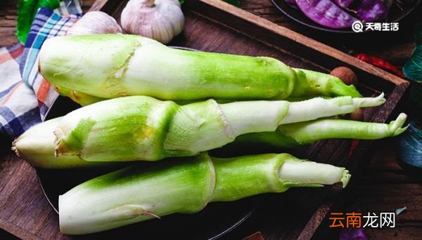 茭白是什么 茭白的定义