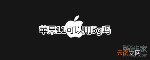 苹果11可以用5g吗