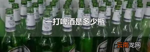 一打啤酒是多少瓶