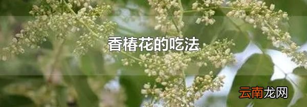 香椿花的吃法