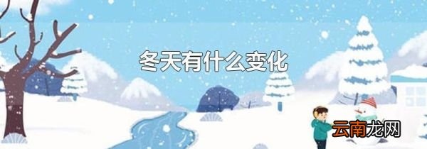 冬天有什么变化