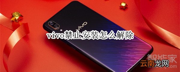 vivo禁止安装怎么解除