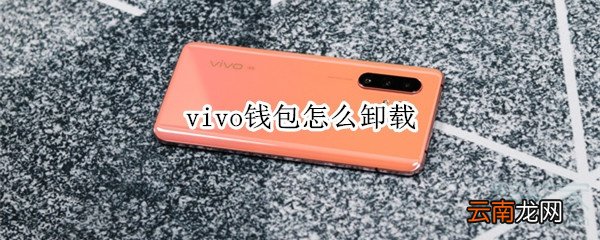 vivo钱包怎么卸载