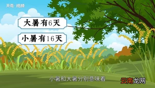大暑有几天小暑有几天 大暑小暑分别有几天