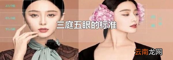三庭五眼的标准