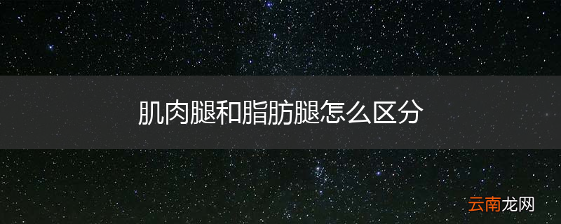 肌肉腿和脂肪腿怎么区分