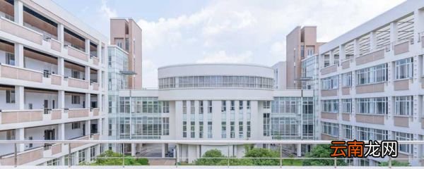 对小学学校的意见和建议 家长对小学学校的意见和建议