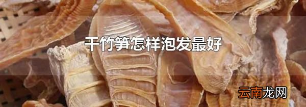 干竹笋怎样泡发最好