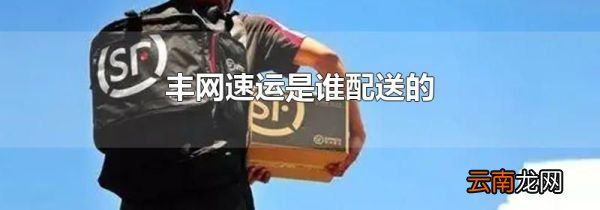 丰网速运是谁配送的