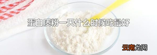 蛋白质粉一天什么时候吃最好