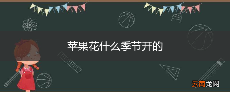 苹果花什么季节开的