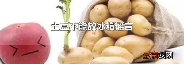 土豆不能放冰箱谣言