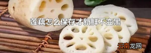 莲藕怎么保存才新鲜不变黑
