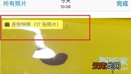 ios13怎么连拍照片