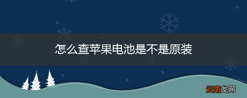 怎么查苹果电池是不是原装