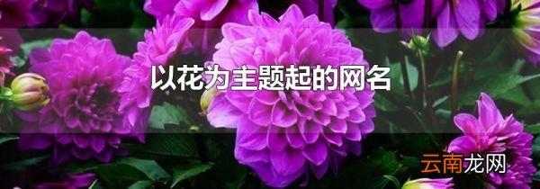 以花为主题起的网名