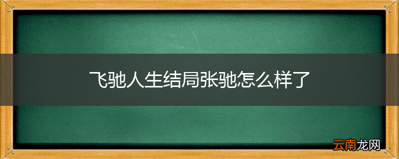 飞驰人生结局张驰怎么样了