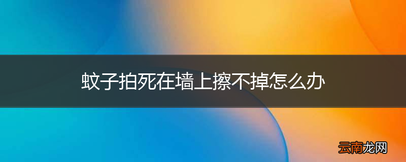 蚊子拍死在墙上擦不掉怎么办