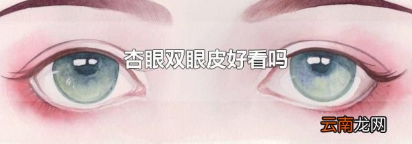 杏眼双眼皮好看吗