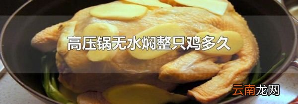 高压锅无水焖整只鸡多久