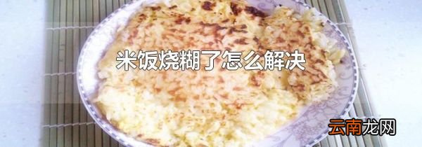 米饭烧糊了怎么解决