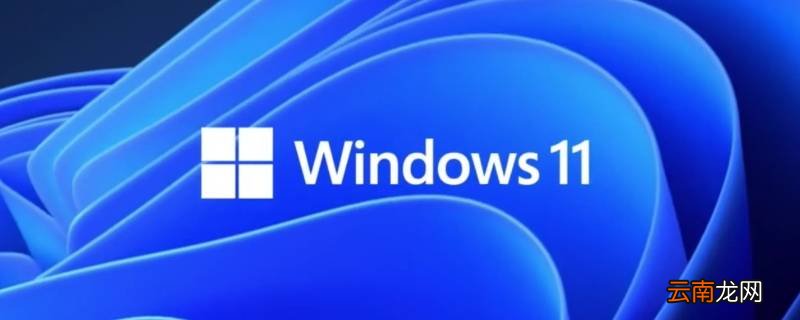 win11连不上wifi